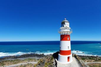 FULL DAY WINE, SEALS AND PALLISER LIGHTHOUSE TOUR
