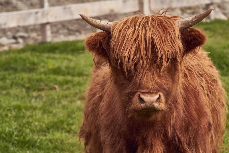 queenstown-flight-package-walter-peak-flight-s-5