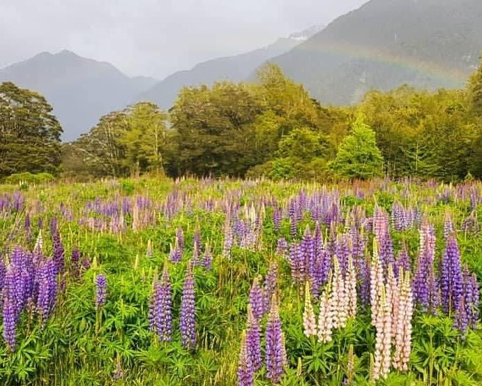 best-of-queenstown-tour-2