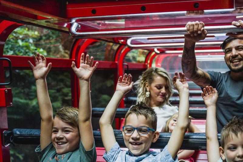 scenic-world-unlimited-discovery-pass-2