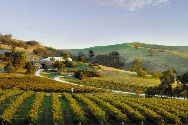 taste-the-barossa-premium-day-tour-small-group-1