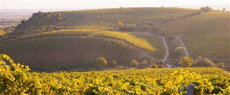 taste-the-barossa-premium-day-tour-small-group-4