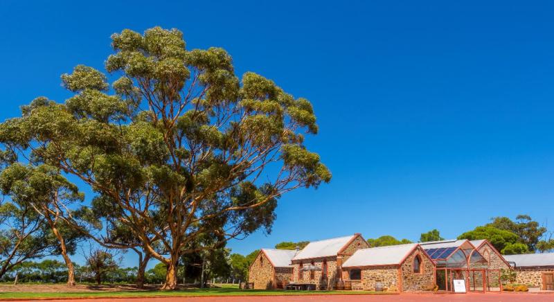 half-day-wine-tasting-coast-small-group-tour-2