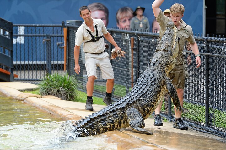 croc-express-to-australia-zoo-from-brisbane-6