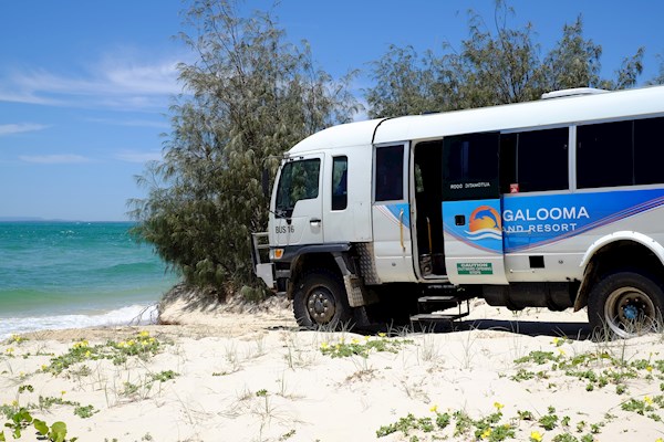 tangalooma-island-tours-desert-safari-day-cruise-2