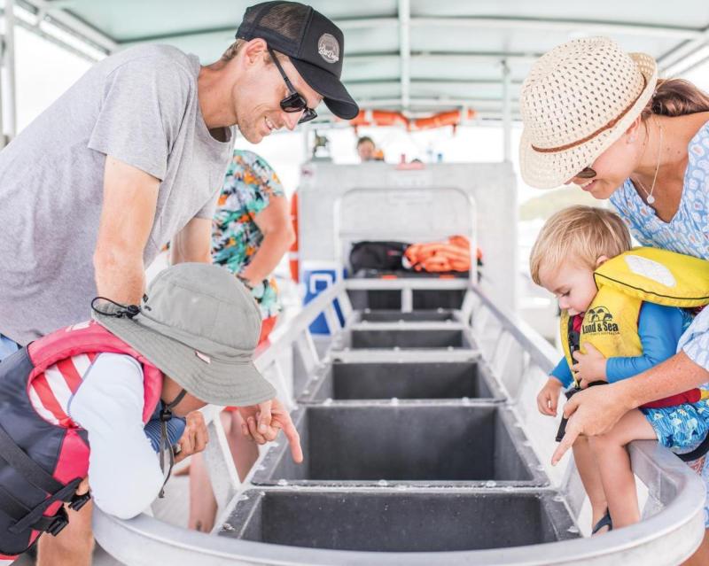 Family Day Out - Tangalooma Island Tour from Brisbane: Marine Discovery Day Cruise with Bus Transfers丨Lunch Voucher Included