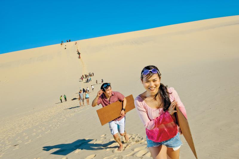 tangalooma-desert-safari-wbus-tsfdolphin-viewing-1