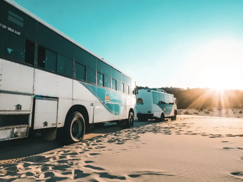 tangalooma-island-tours-up-grade-desert-safari-3