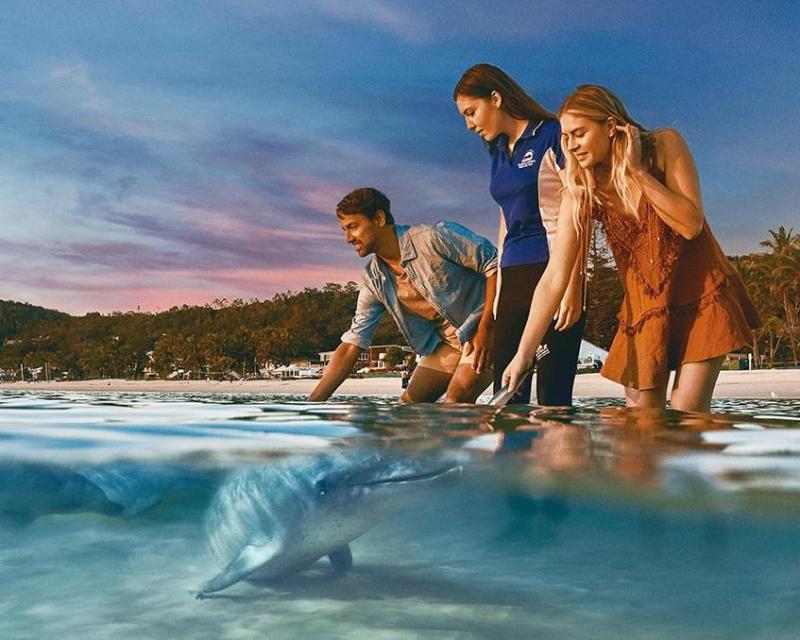 tangalooma-island-tours-up-grade-desert-safari-5