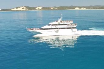 Tangalooma-Whale Watching Up/g Dolphin Viewing