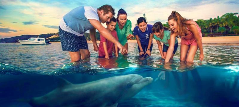 tangalooma-whale-watching-upg-dolphin-viewing-7