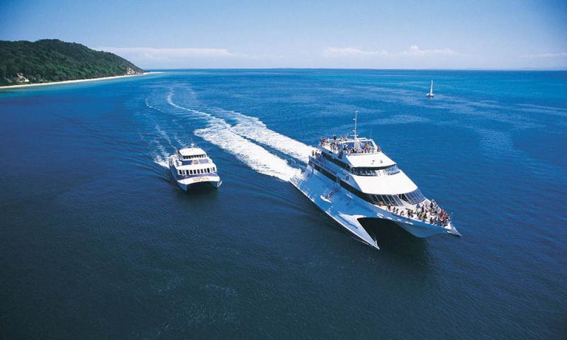 tangalooma-island-toursupgrade-marine-discover-3