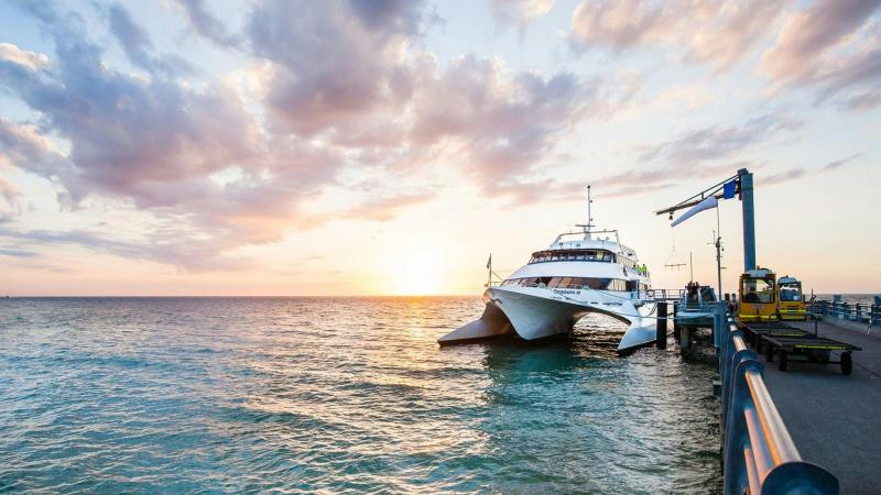 tangalooma-island-toursupgrade-marine-discover-4