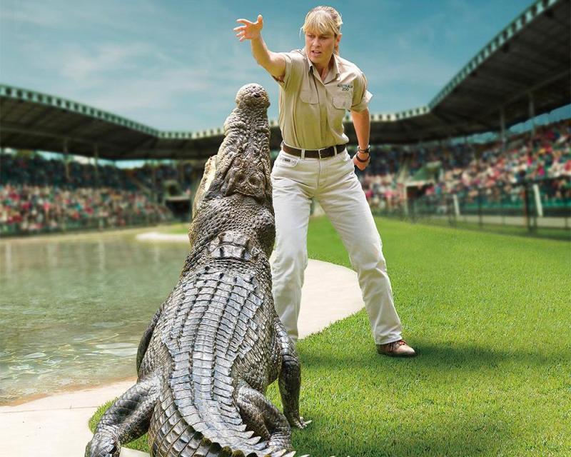 croc-express-to-australia-zoo-from-gold-coast-tra-2