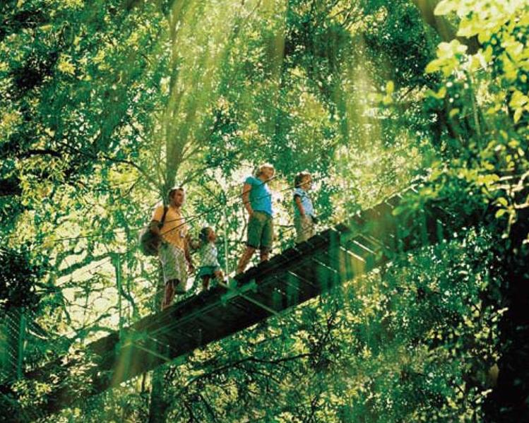 oreillys-lamington-national-park-ex-gold-coast-4