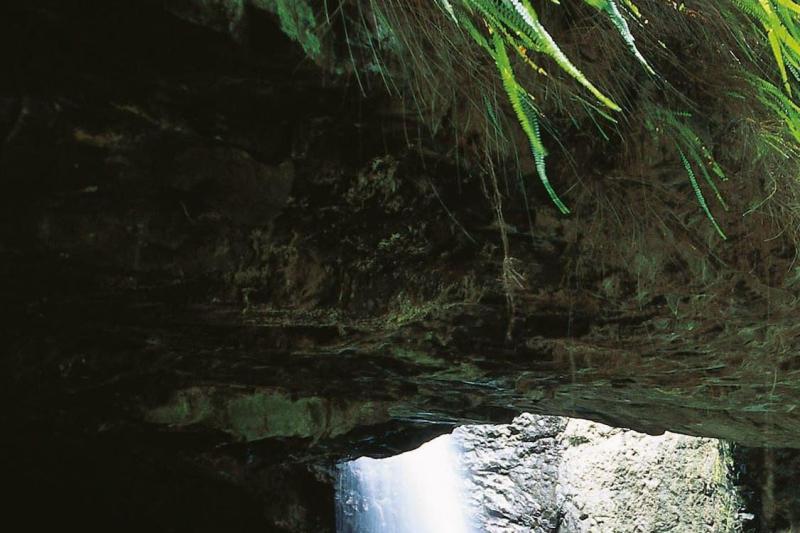 natural-bridge-glow-worm-night-tour-1