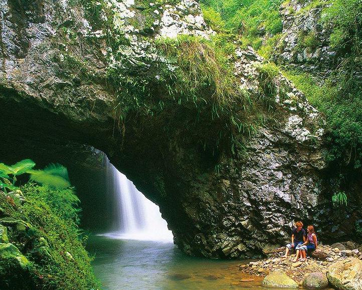 natural-bridge-glow-worm-night-tour-2