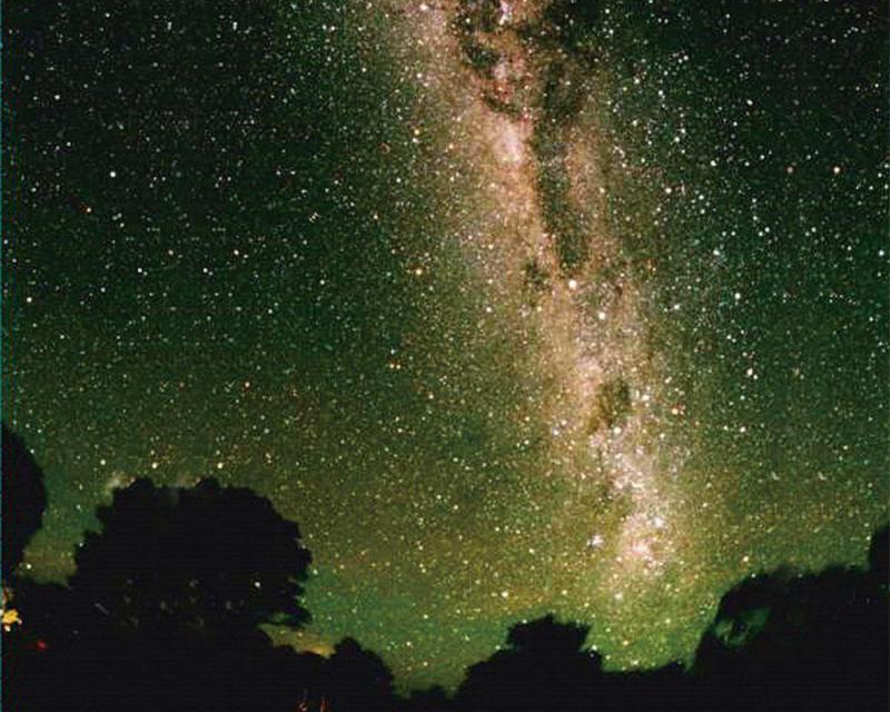 natural-bridge-glow-worm-night-tour-4