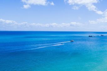 Tangalooma Island Tours - Beach Day Cruise with Bu