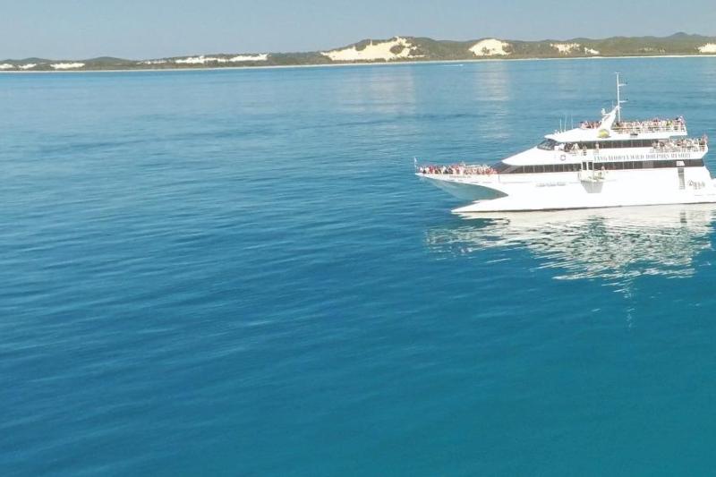 tangalooma-island-tours-up-grade-whale-watching-1