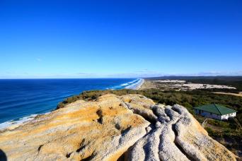 Tangalooma-Marine Discovery- up/g Dolphin Viewing