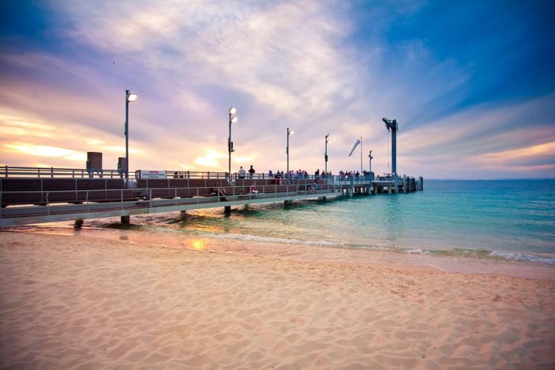 tangalooma-marine-discovery-upg-dolphin-viewing-2
