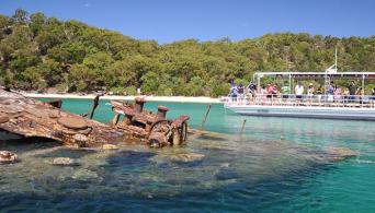 Marine Discovery Day Cruise w/ Dolphin Feeding