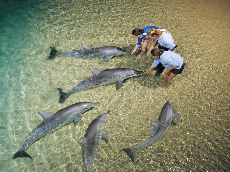 marine-discovery-day-cruise-w-dolphin-feeding-2