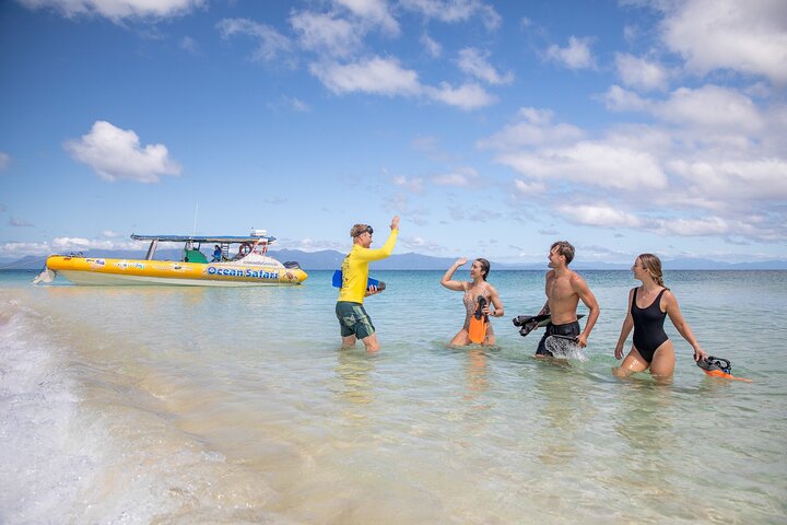 ocean-safari-great-barrier-reef-turtle-tripper-adv-4
