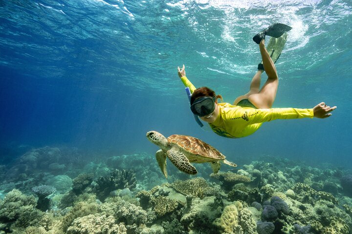 ocean-safari-great-barrier-reef-turtle-tripper-adv-2