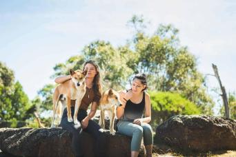 Phillip Island & Moonlit Sanctuary Tour