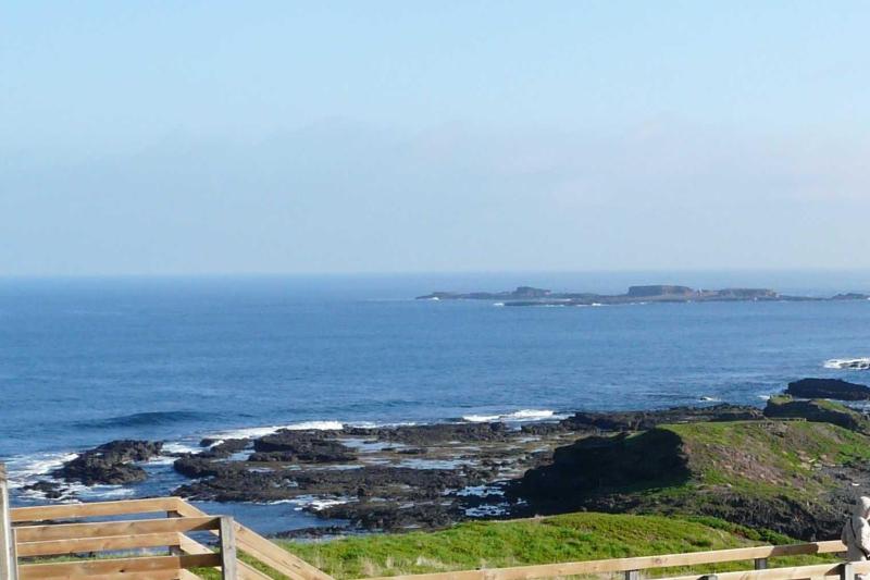 city-tour-phillip-island-moonlit-sanctuary-1