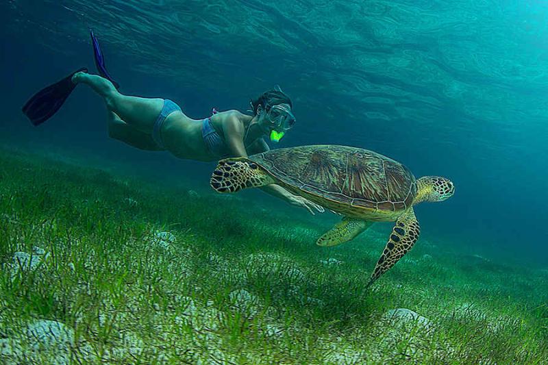 green-island-eco-adventure-with-great-adventures-3