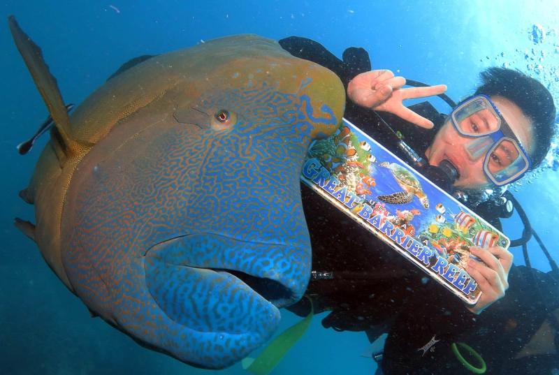 green-island-great-barrier-reef-adventure-2