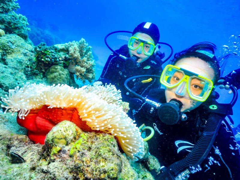 green-island-transfer-with-great-adventures-5