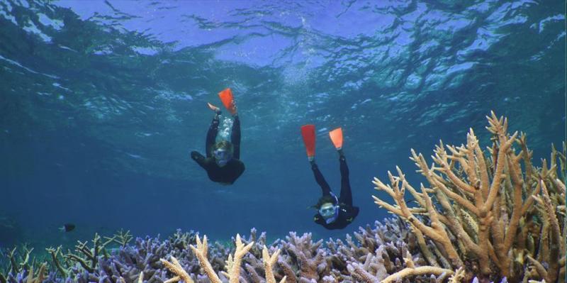 silversonic-outer-barrier-reef-ex-port-douglas-2