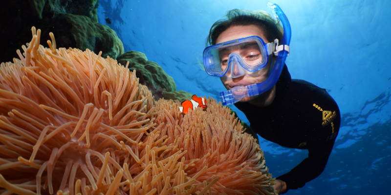 silversonic-outer-barrier-reef-ex-port-douglas-3