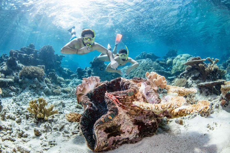 silverswift-to-the-outer-barrier-reef-ex-cairns-6