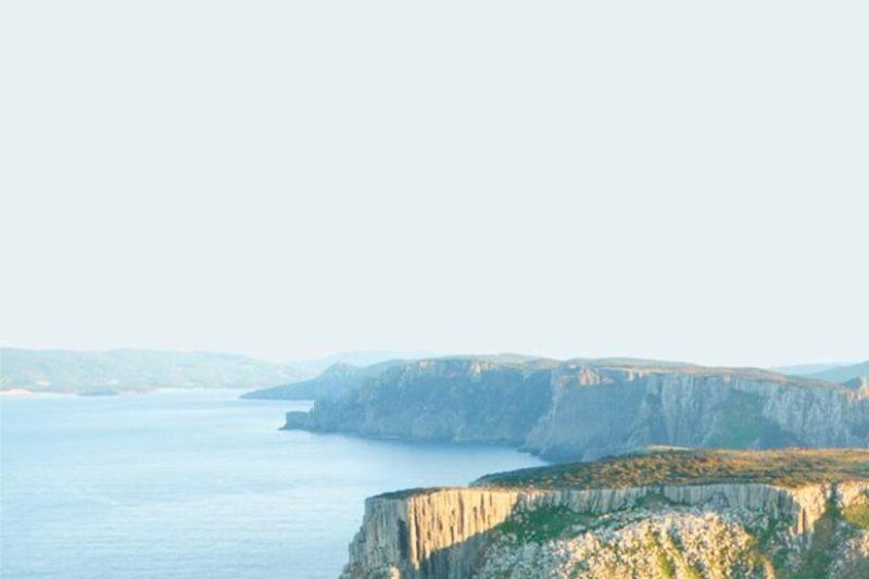 tasman-island-cruises-full-day-with-devil-park-1