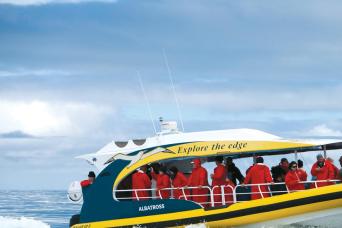 Tasman Island Cruises w/ Port Arthur Historic Site