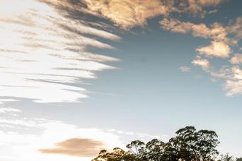 Hobart to Port Arthur or Port Arthur to Hobart one