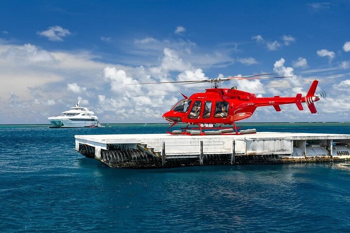 fly-to-outer-reef-cruise-return-half-day-1