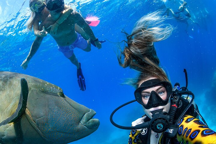 fly-to-outer-reef-cruise-return-half-day-6