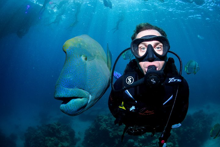 cruise-to-outer-reef-fly-return-full-day-3