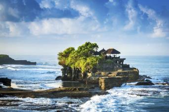 Countryside Safari by Vintage VW