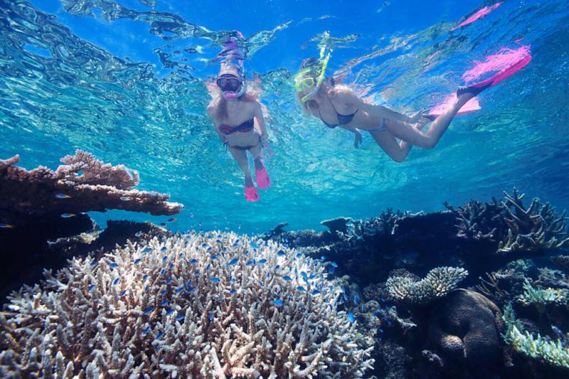 get-high-package-with-snorkel-1