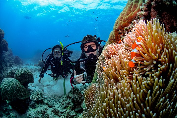 get-high-package-with-snorkel-2