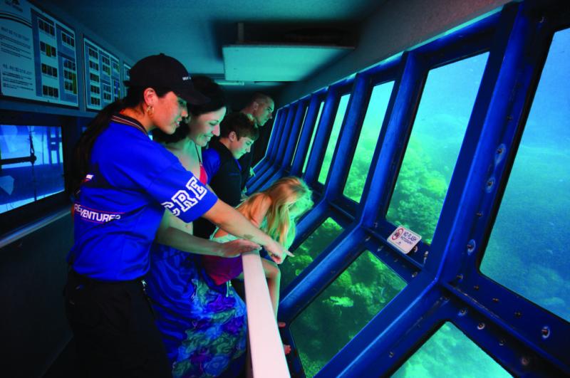 fly-to-green-island-cruise-return-discovery-fd-7