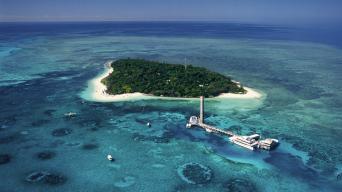 Cruise to Green Island & Reef & 10 min Scenic