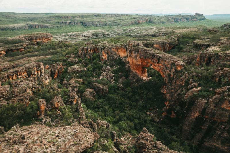 kakadu-national-park-yellow-water-cruise-3